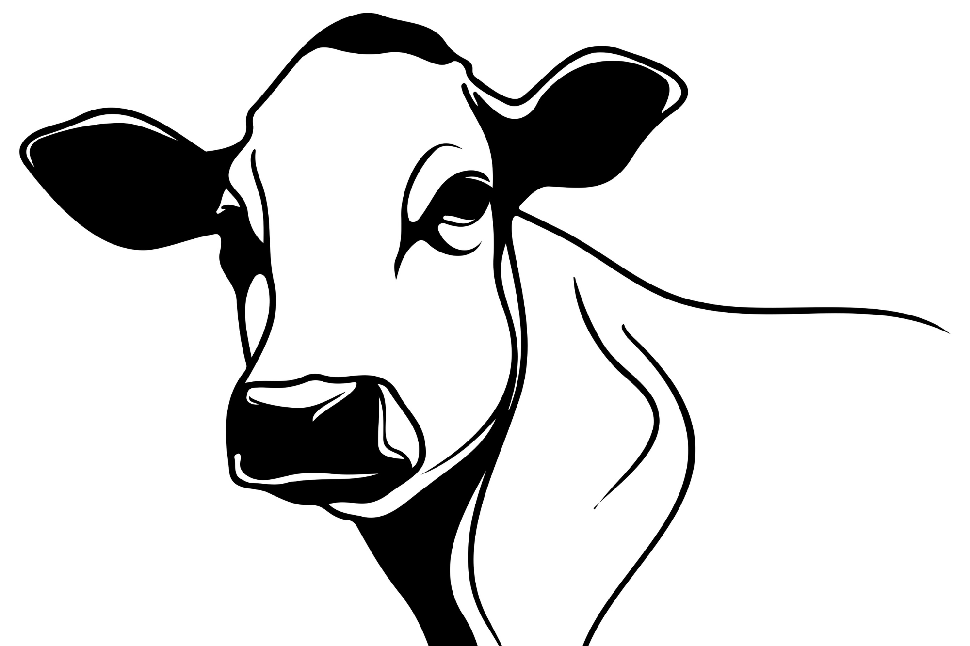 half cow wisconsin