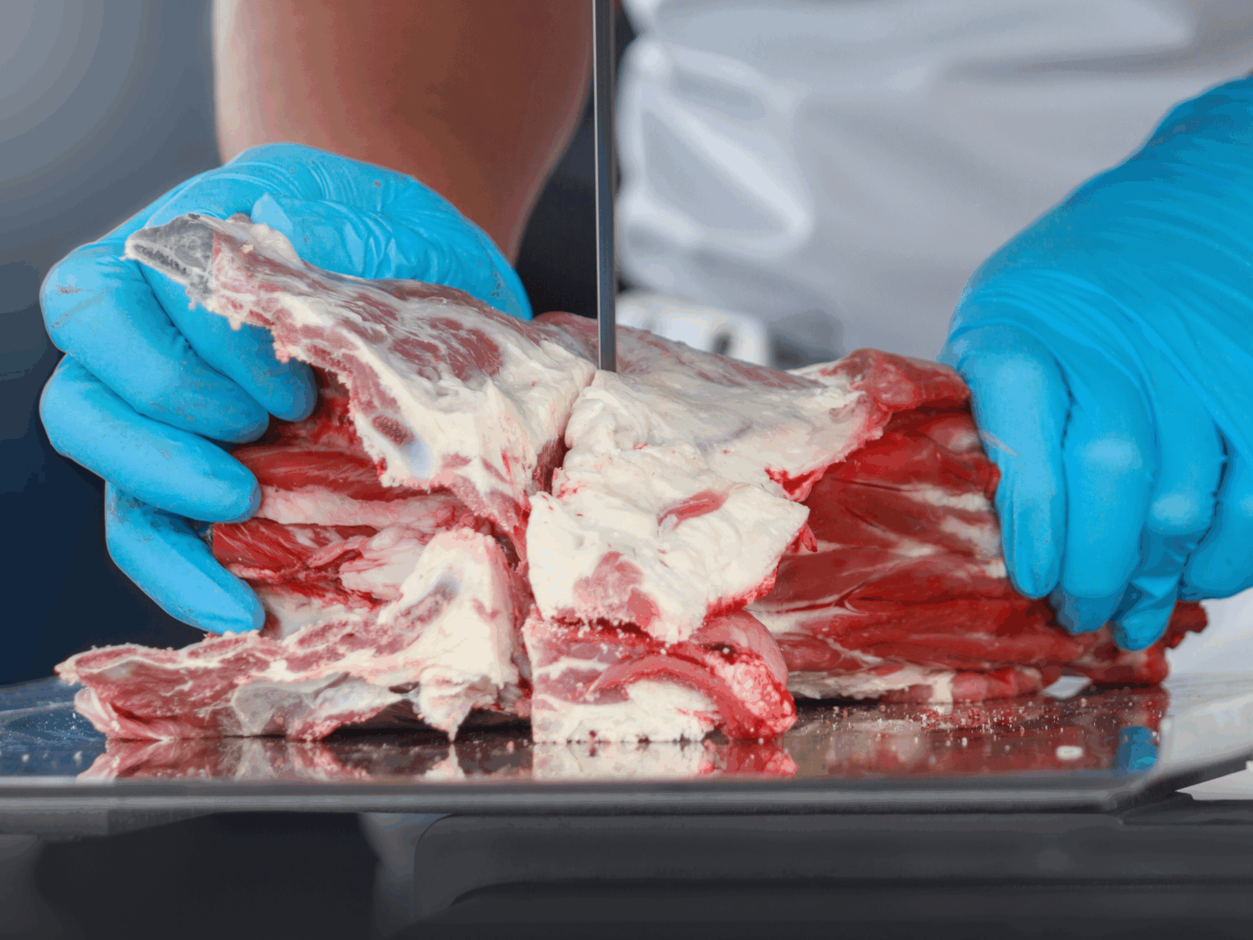 what is custom meat processing